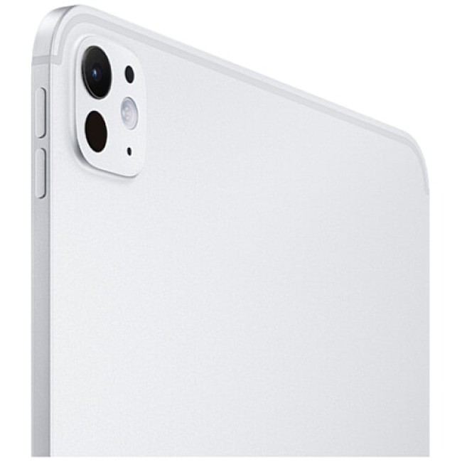 iPad Pro 11'' M4 Wi-Fi + Cellular 1TB Silver Nano-texture glass (MWRQ3)