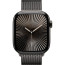 Apple Watch Series 10 46mm Slate Titanium with Slate Milanese Loop M/L (MWYW3)
