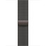 Apple Watch Series 10 46mm Slate Titanium with Slate Milanese Loop M/L (MWYW3)