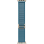 Apple Watch Ultra 3 Natural Titanium Case with Light Blue Alpine Loop Large (MEWP4)
