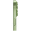 iPhone 17 256GB Sage eSIM (MG4A4)