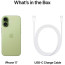 iPhone 17 256GB Sage eSIM (MG4A4)