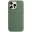 Чохол Monblan Magnetic Silicone MagSafe для iPhone 15 Pro Max Cypress