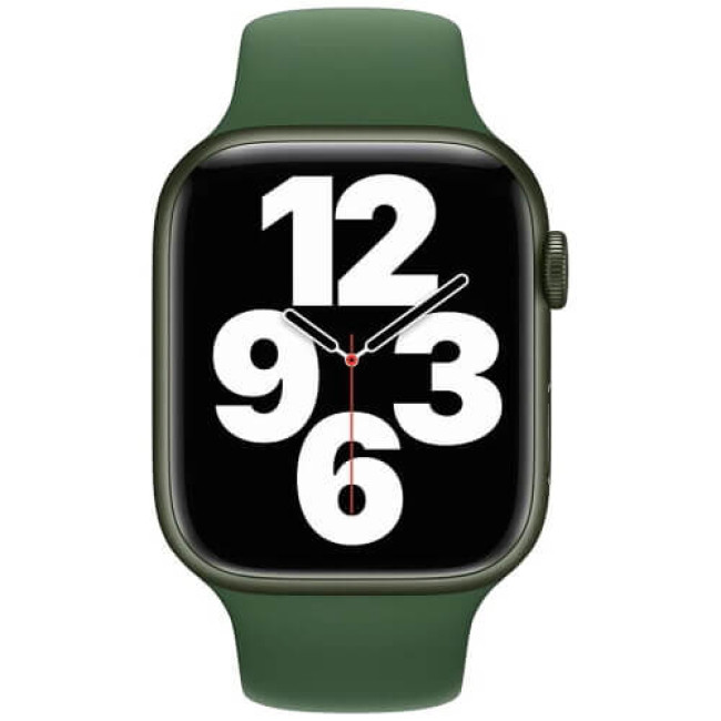 Ремешок Apple Watch 45/44/42mm Sport Band Clover (MKUN3)