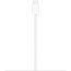Apple MagSafe Charger 25W (MX6X3) 1m 
