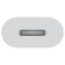 Переходник Apple USB-C to Lightning (MUQX3)