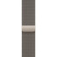 Apple Watch Series 10 46mm Natural Titanium with Natural Milanese Loop M/L (MWYC3)