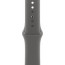 Apple Watch Series 10 46mm Natural Titanium Case with Stone Gray Sport Band M/L (MWYA3)