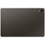 Планшет Samsung Galaxy Tab S9 5G 8/128GB Graphite (SM-X716BZAA) 